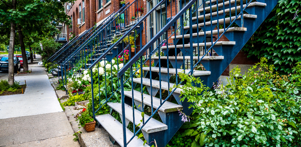 Une rangée d'immeubles en briques avec des escaliers en métal et des plantes luxuriantes le long du trottoir