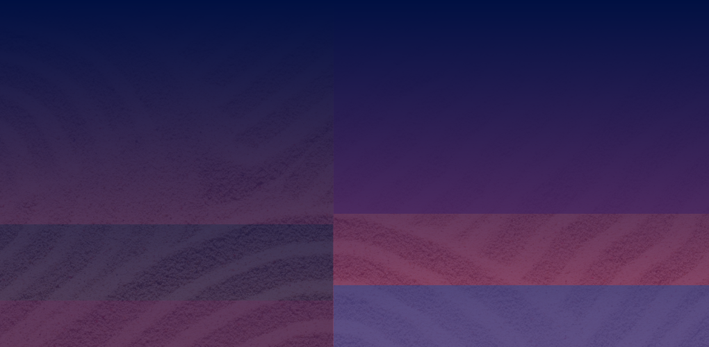 Textures et couleurs du concours d'art pour les 50 ans de la Charte.